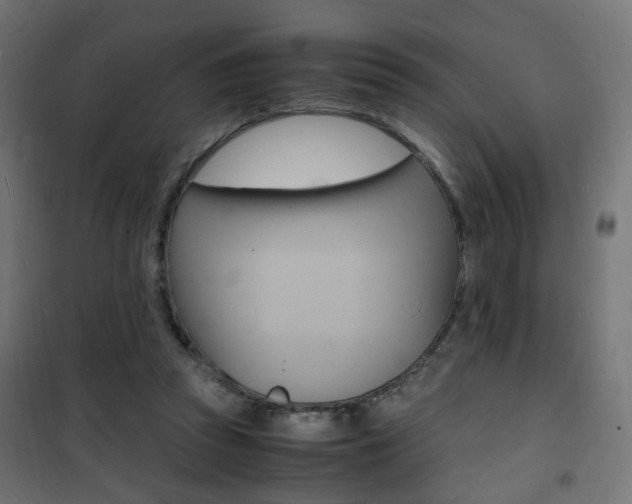 X0000101480353200807071248