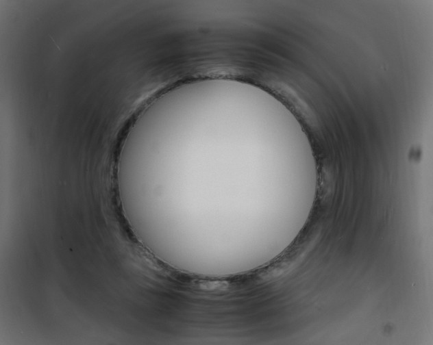 X0000101480355200807071248
