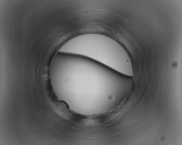 X0000101480356200807071248