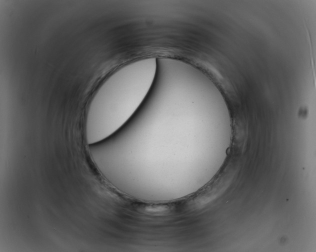 X0000101480357200807071248