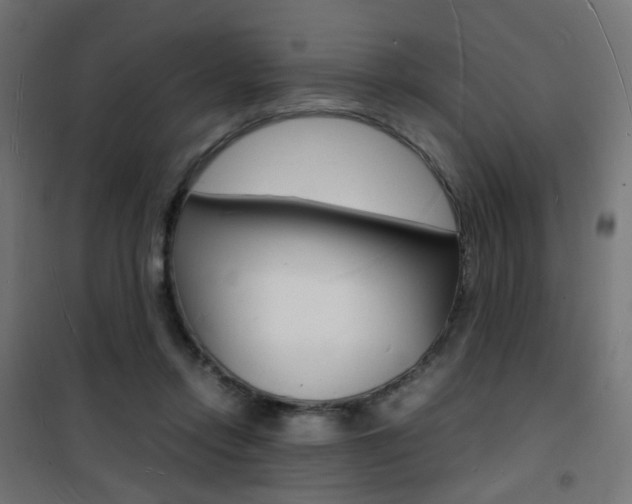 X0000101480358200807071248