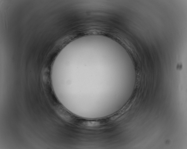 X0000101480361200807071248