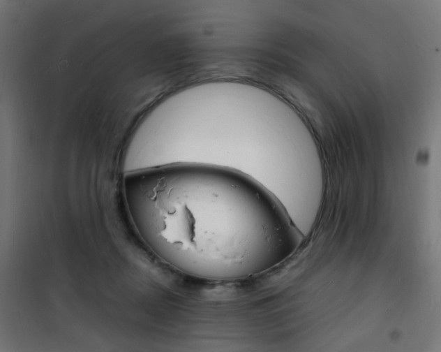 X0000101480362200807071248