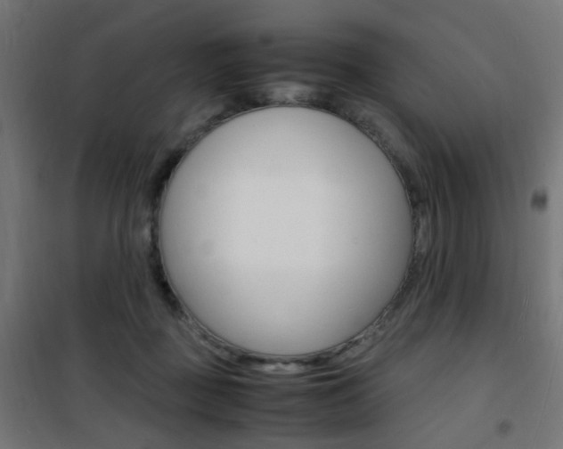 X0000101480363200807071248