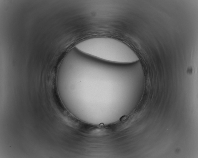 X0000101480364200807071248