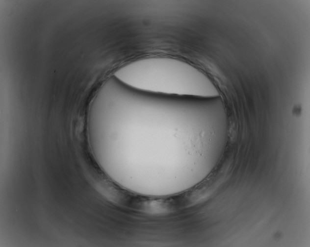 X0000101480365200807071248