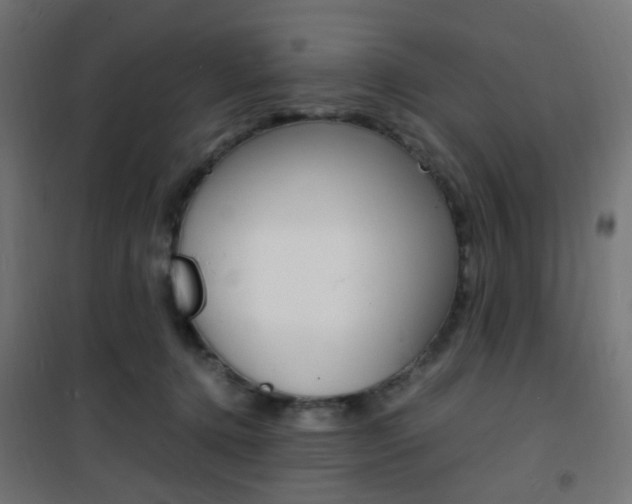 X0000101480368200807071248