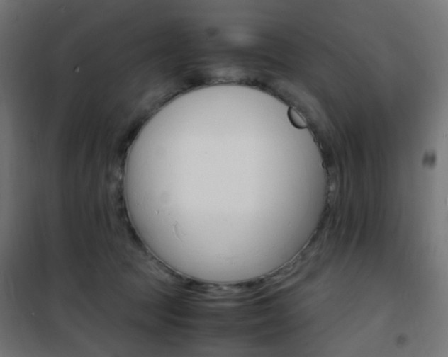 X0000101480369200807071248