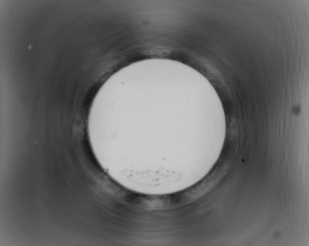 X0000101480370200807071248