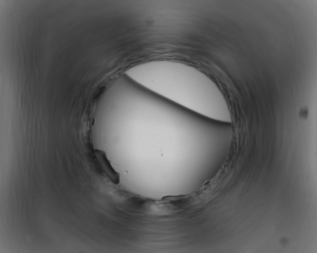 X0000101480372200807071249