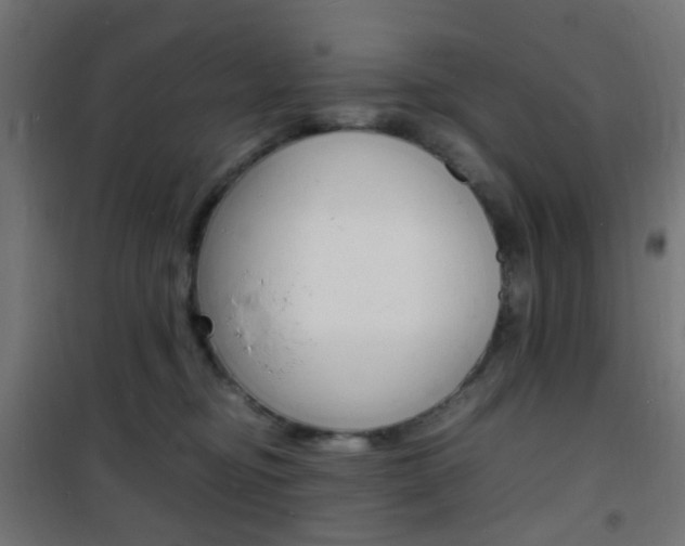 X0000101480374200807071249