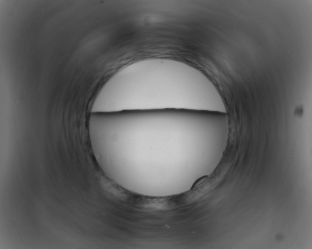 X0000101480377200807071249