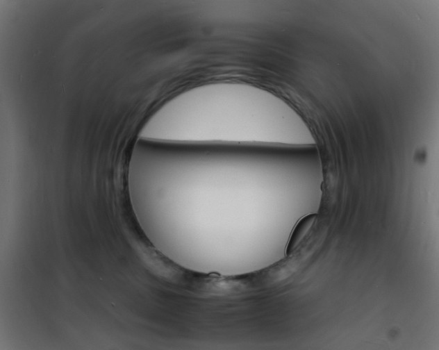 X0000101480379200807071249