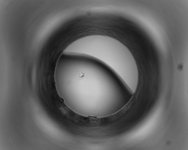 X0000101480382200807071249