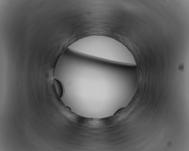 X0000101480383200807071249