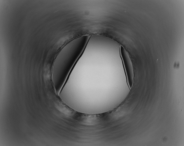 X0000101480384200807071249