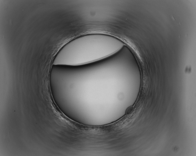 X0000101480385200807071248