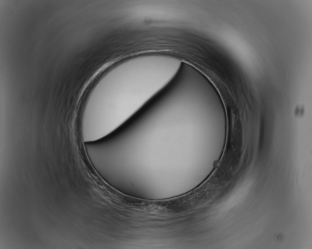 X0000101480387200807071248
