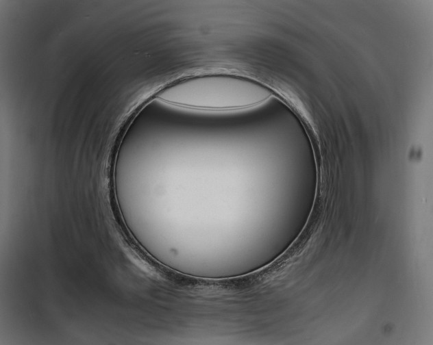 X0000101480389200807071248