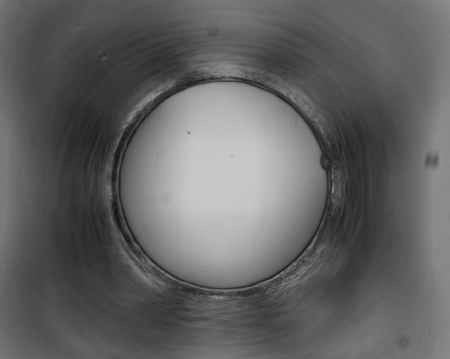 X0000101480390200807071248