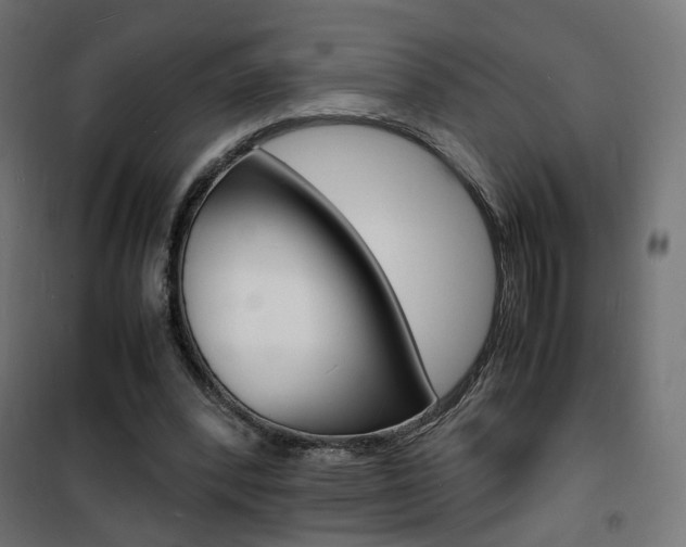 X0000101480392200807071248