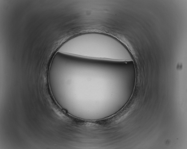 X0000101480393200807071248
