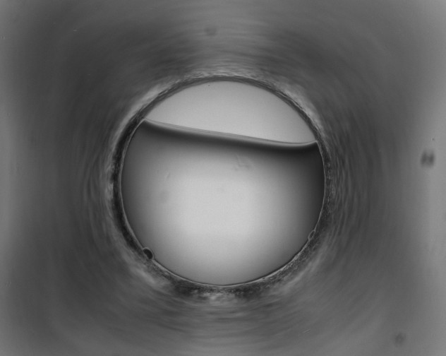 X0000101480395200807071248