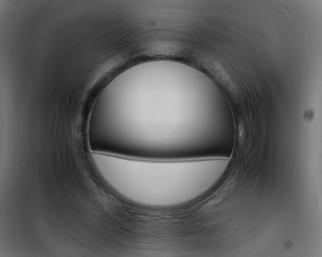 X0000101480396200807071248