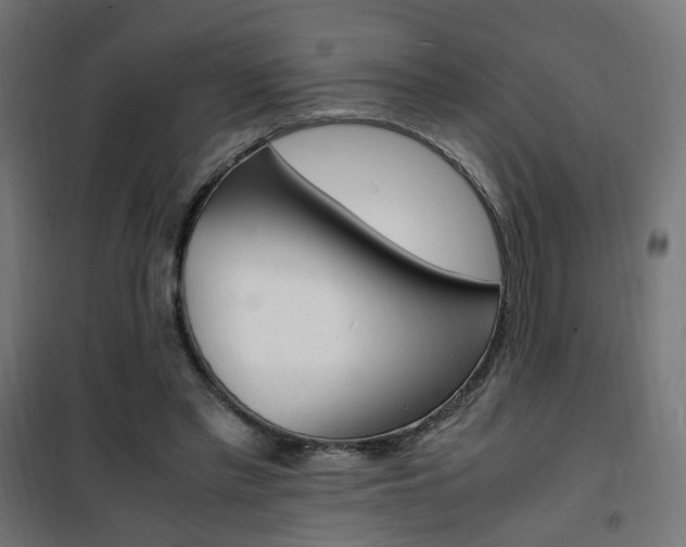 X0000101480397200807071248