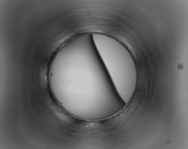 X0000101480398200807071248