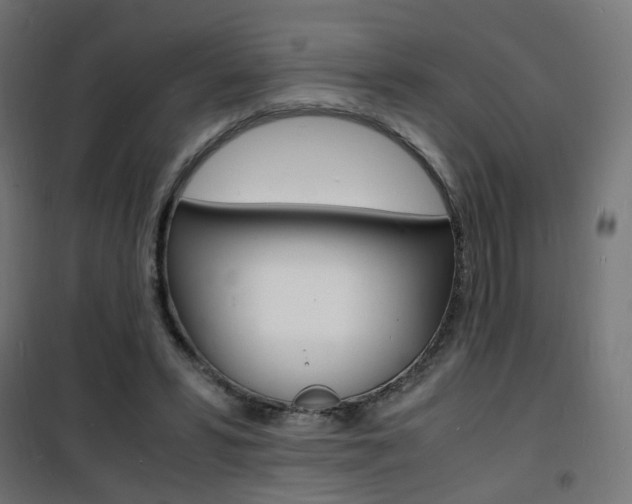 X0000101480399200807071248