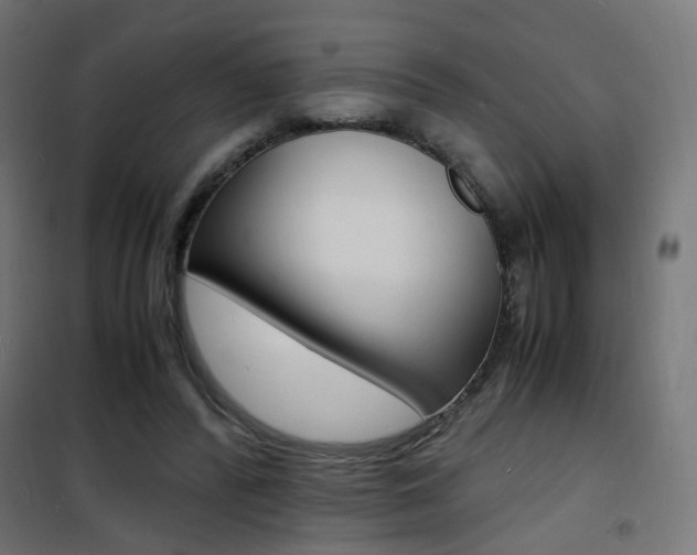 X0000101480400200807071248