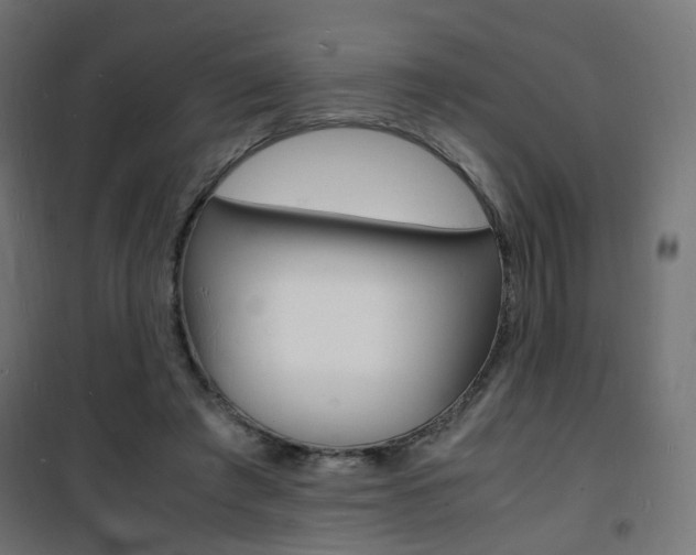 X0000101480401200807071248