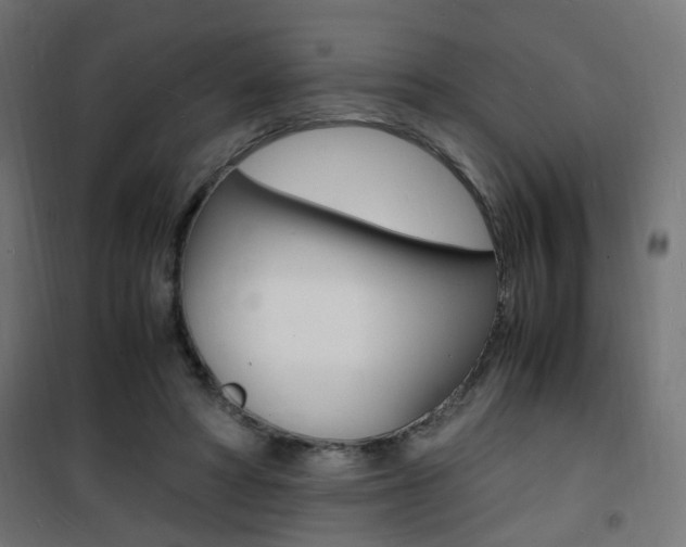 X0000101480402200807071248