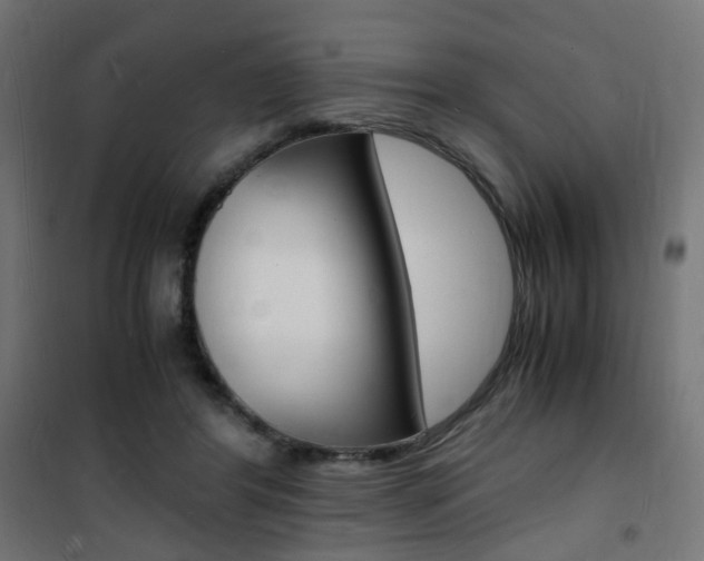 X0000101480404200807071248