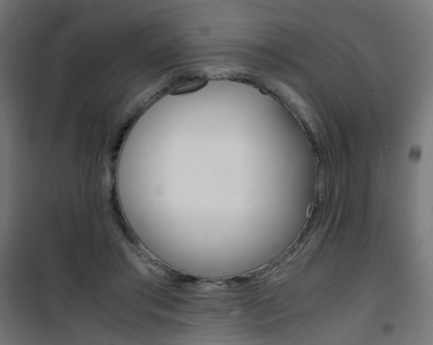 X0000101480405200807071248