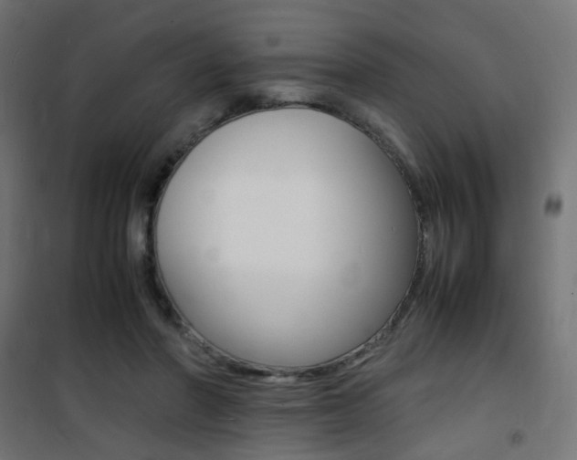 X0000101480406200807071248