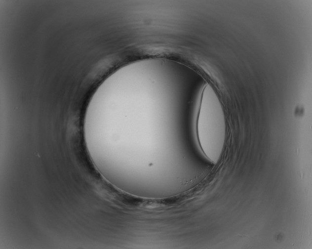 X0000101480407200807071248