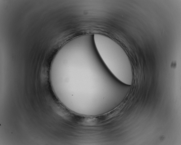 X0000101480410200807071248