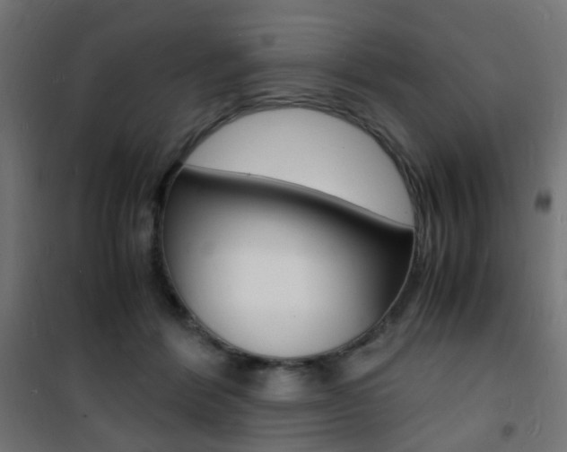 X0000101480412200807071248
