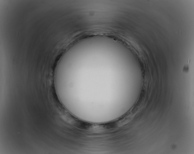 X0000101480413200807071248