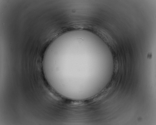 X0000101480414200807071248