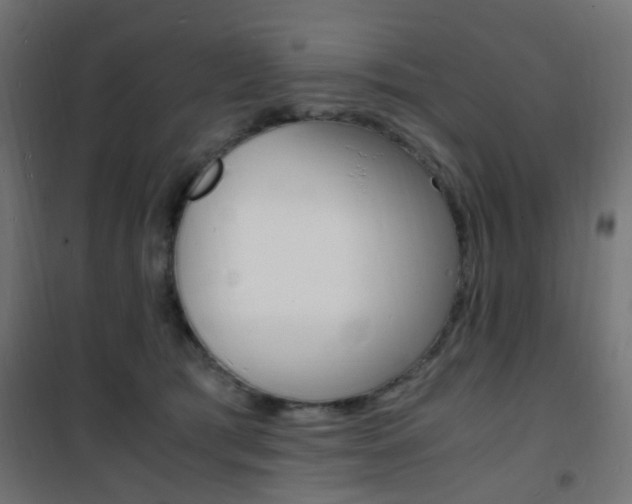 X0000101480417200807071248
