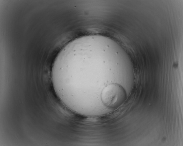 X0000101480418200807071248