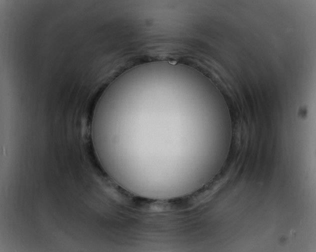 X0000101480420200807071248
