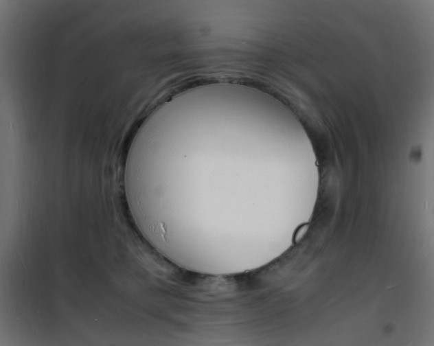 X0000101480421200807071248
