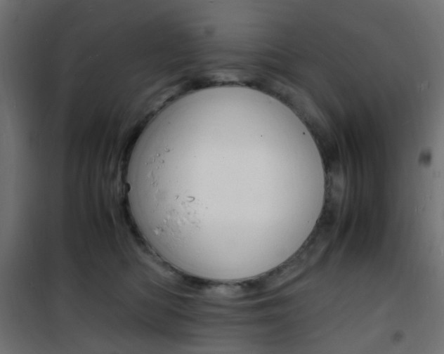 X0000101480422200807071247
