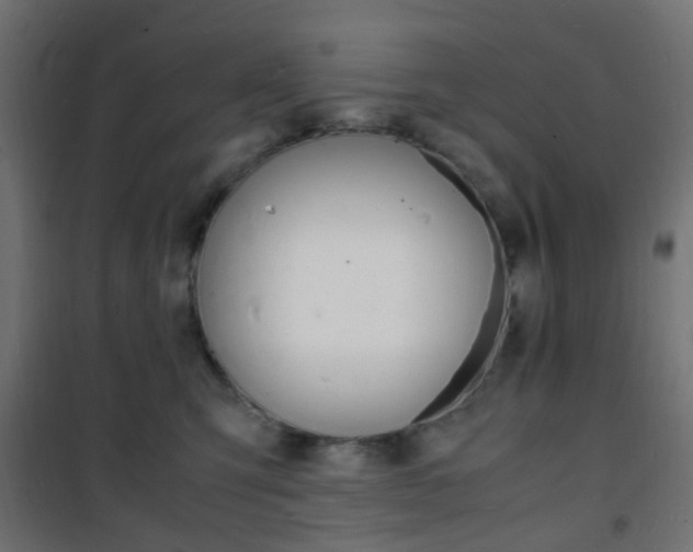 X0000101480423200807071247