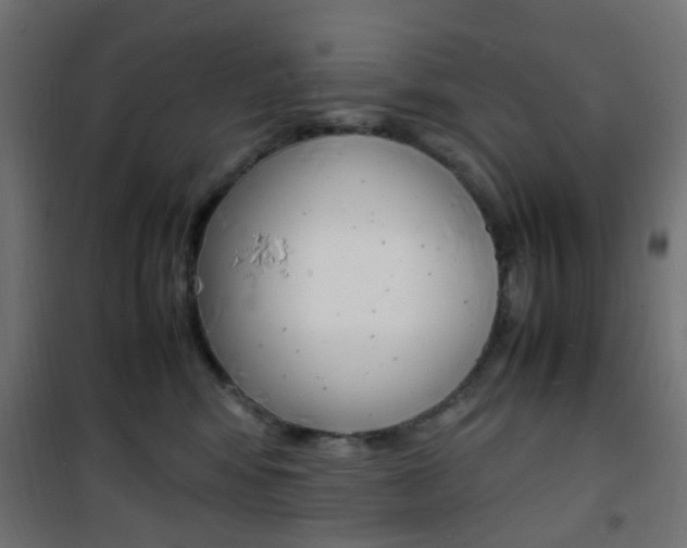 X0000101480424200807071247