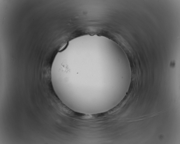 X0000101480425200807071247